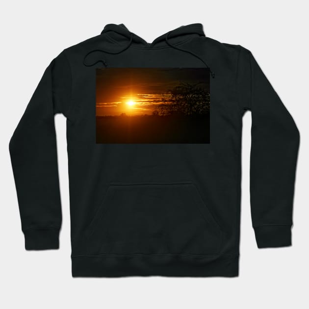 December Sunset Hoodie by InspiraImage